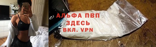 молекула духа Козловка