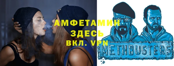 стаф Касимов