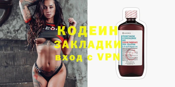 хмурый Карпинск