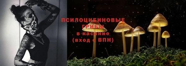 молекула духа Козловка