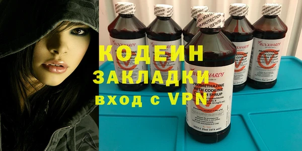 стаф Касимов